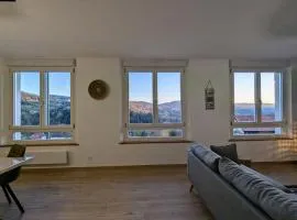 Appartement spacieux à Le Tholy, 6 pers, Vosges - FR-1-589-784