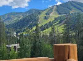 Antler at Lakota 407 home