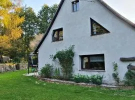Pisary20 Dom w Masywie Śnieżnika