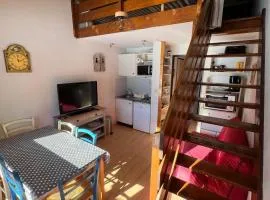 Appartement Morzine, deux pièces, mezzanine, 4 personnes