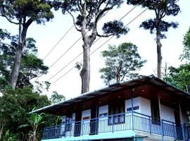 Berlin Homestay