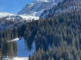 Guardabassi Collection - Chalet Campiglio Mountain View