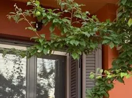 Lefkas Apartment