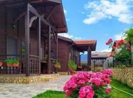 Andreevite Houses