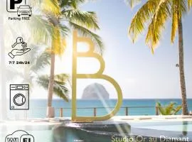 Studio Or au Diamant, vue mer des Caraïbes