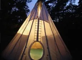 Tipi NCO