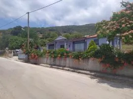 studios ARTEMIS GARDEN