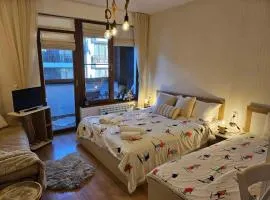 Cozy Studio in Semiramida Gardens - Borovets Hills 39