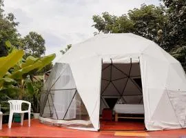 Glampyn amazonic colibri