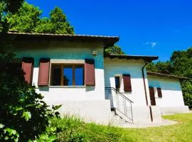 Cool Natural Relax at Alivé Home&Garden