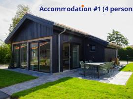 Luxe 10-persoons vakantiehuis Lauwersmeer, Friesland, hôtel à Anjum