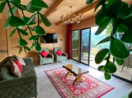 Parla dağ evi kırmızı oda