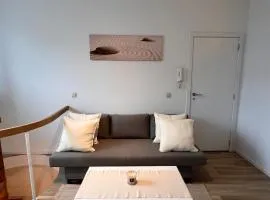 Appartement en duplex au rez-de-chaussée 10 minutes du centre