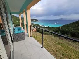 The View