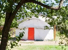 Arista Yurt Camp