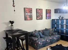 City Center Apartman Győr