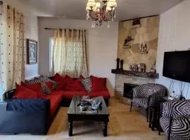 Cozy Mountain Retreat with Views