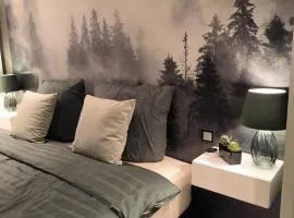 Harz High End Fewo Exklusiv 5 Sterne DTV