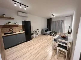 Apartament dwupokojowy Ceglana Park