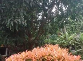 Jimi Villa