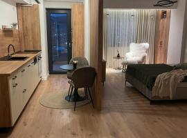 Studio Sara, hotel com estacionamento em R&acirc;mnicu V&acirc;lcea
