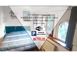 Studio 24m2 cosy classé, lit Queen Size, Netflix, wifi, 400m centre, parking, boîte à clés, Gîtes La Tarine