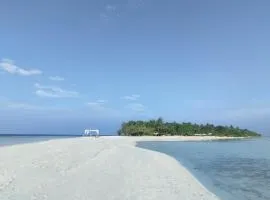 Hasthee