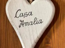 Casa Amalia - Ca' di chi de zirie -