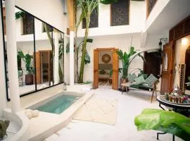 Riad Näjma Medina, privatisation, 8 personnes 2 Bassins