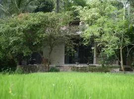 Ayubowan Eco Lodge