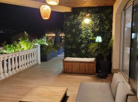 Le loft des mimosas proche de cannes