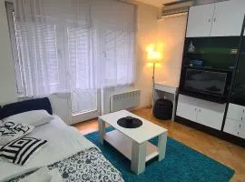 Vista Studio Apartment