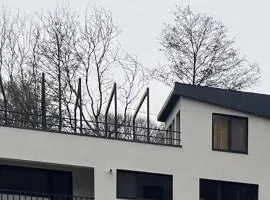 Pensiunea Vega Haleș