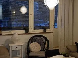 Cozy studio apartment