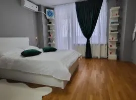Apartament Victoriei - Centru