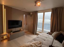 Voss Apartment in Oppheim Resort, pool and view，沃斯瓦根的附設泳池的飯店