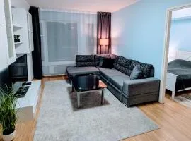 Jõe Apartments - apartments with sauna in the city center