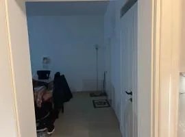 Andis House