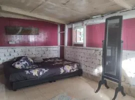 teriang minimal room