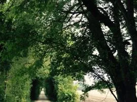 Domaine Le Rolant
