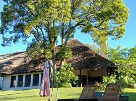 A Night at the Museum