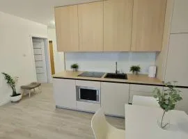 Korczaka Apartment