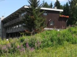 Appartamento Residence Sacha a Marilleva 1400 by Happy Holidays