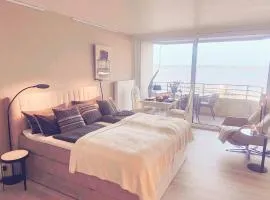 Fjord Panorama App 224