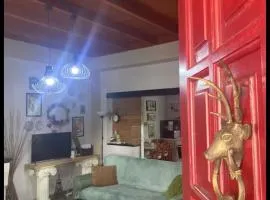 D&S home oinofita