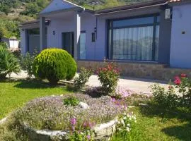 studios ARTEMIS GARDEN