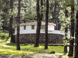 Vivienda Vacacional Finca La Redonda El Paso
