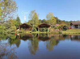 Wooden lodge with garden