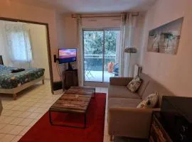 Cosy appartement Beaux-Art à 5min du Corum