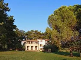 Villa King Filippos - Royal Beachfront - Sithonia Chalkidiki
